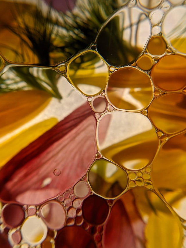 Olejek CBD a olej konopny – najważniejsze różnice i właściwości